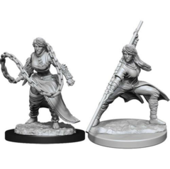 Human Monk - Female 90225 - D&D Nolzur's Marvelous Miniatures